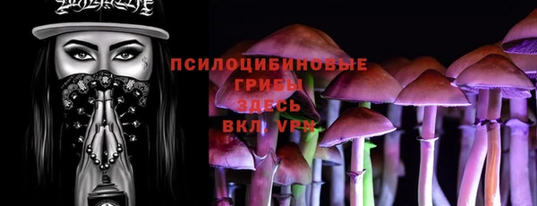 ALPHA PVP Алексин