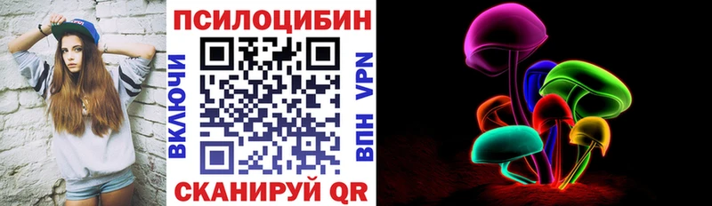 Псилоцибиновые грибы Cubensis  Елизаветинская 